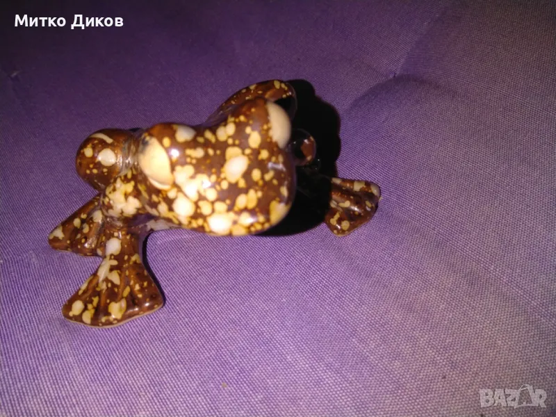 Порцеланова жаба, снимка 1