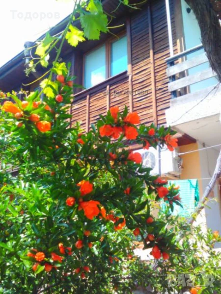 Къща за Гости "Деница " Созопол Стаи за Почивка, снимка 1
