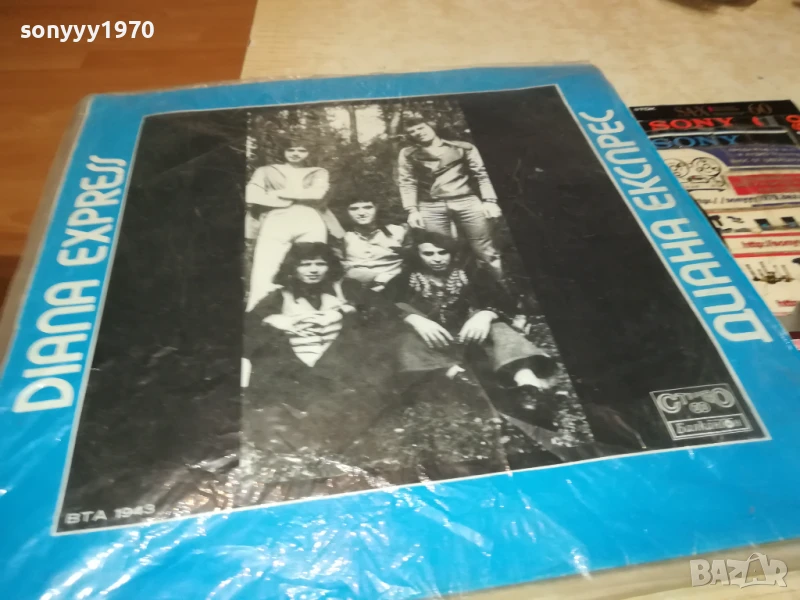 ДИАНА ЕКСПРЕС 1007251339, снимка 1