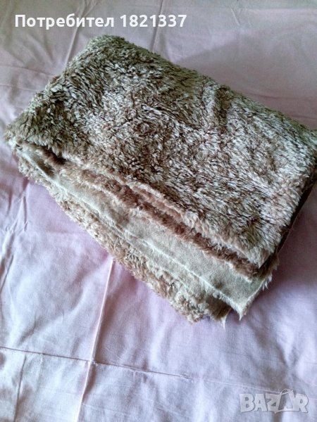 Болана, снимка 1