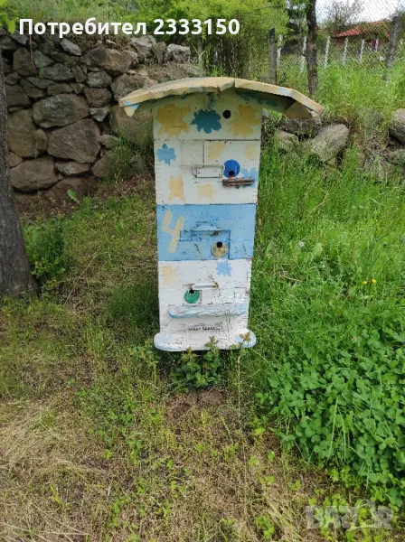 Продава пчелно семейство с млада майка от тази година семейството е добре развито ., снимка 1