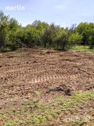 Почистване на пасища, снимка 2 - Селскостопанска техника - 39630131