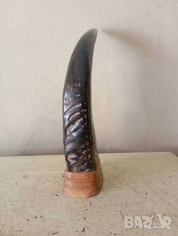 Рог за декорация, снимка 2 - Други ценни предмети - 51519882