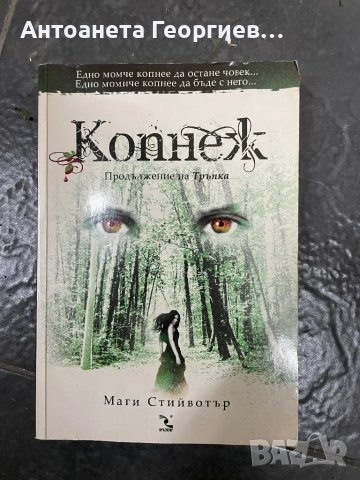 Маги Стийвотър - Копнеж, снимка 1