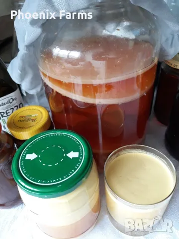 Боров прашец суров веган 