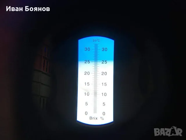 Грозде за Вино и Ракия!…БЕЗПЛАТНО МЕЛЕНЕ, снимка 10 - Домашни продукти - 55861572