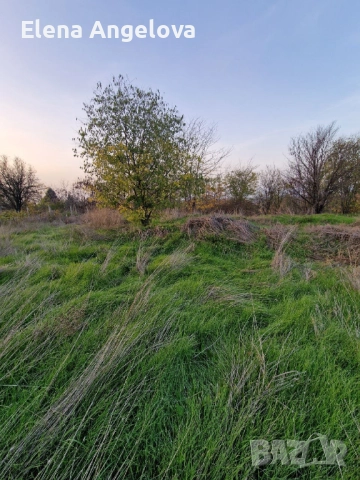 Два парцела в с. Чешнегирово, УПИ 1085 кв, УПИ 2036 кв, снимка 5 - Парцели - 52515241