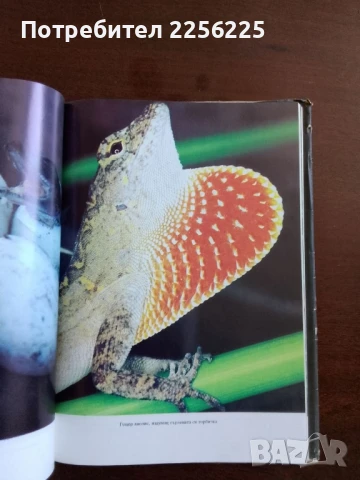 Животът на земята , снимка 8 - Специализирана литература - 50600148