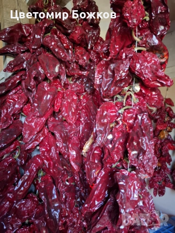 🌶️ Домашни сушени червени чушки – истински вкус от градината! 🌶️ НА ЕДРО!!!, снимка 11 - Домашни продукти - 52280937