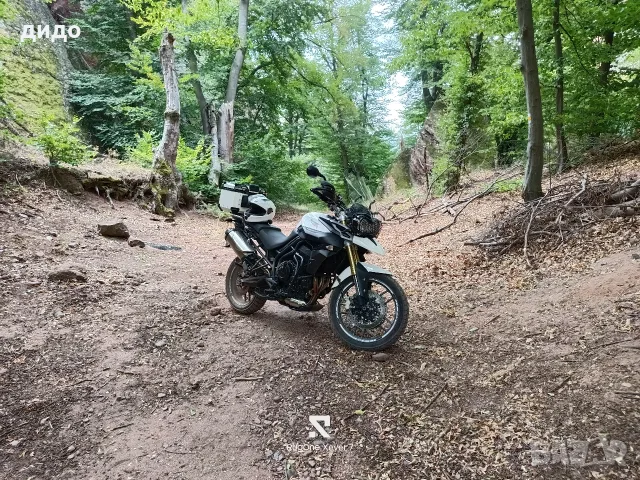 Продавам Triumph Tiger , снимка 3 - Мотоциклети и мототехника - 55779506