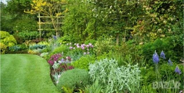 Почистване на градини и дворове – Тутракан и региона, снимка 2 - Други услуги - 50988913