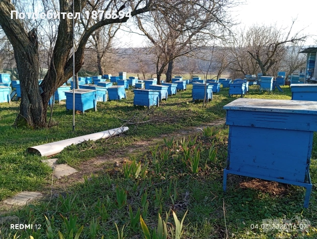 Пчелни кошери