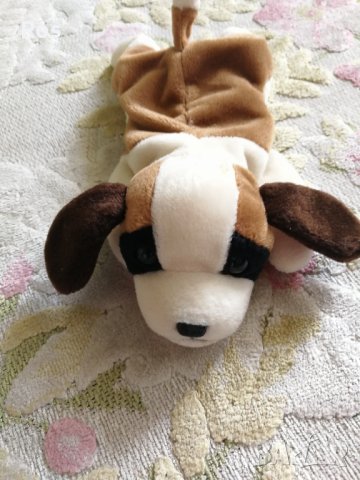 ty Bernie, снимка 1