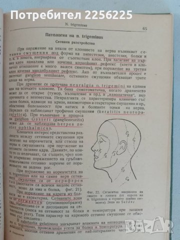 "Практическо ръководство по неврология", снимка 4 - Специализирана литература - 47482195