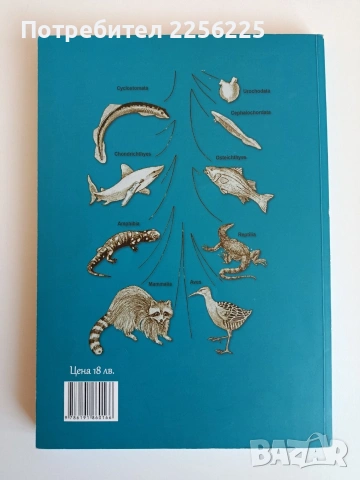 Ръководство за упражнения и тестове по зоология на гръбначните животни, снимка 11 - Специализирана литература - 53862839