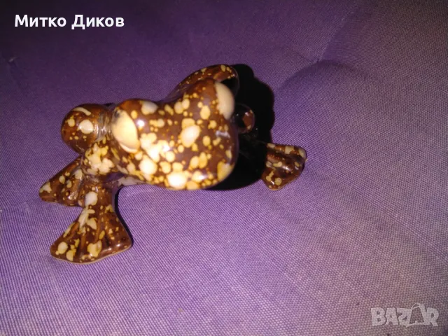 Порцеланова жаба