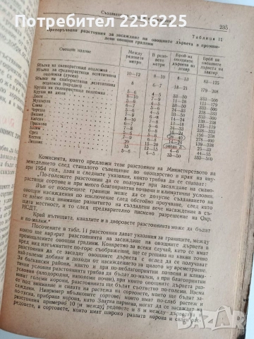 Овощарство 1954г , снимка 6 - Специализирана литература - 53075504
