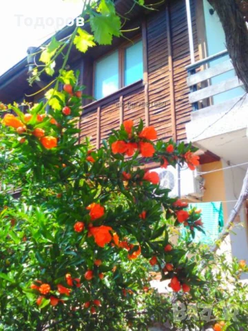 Къща за Гости "Деница " Созопол Стаи за Почивка, снимка 1