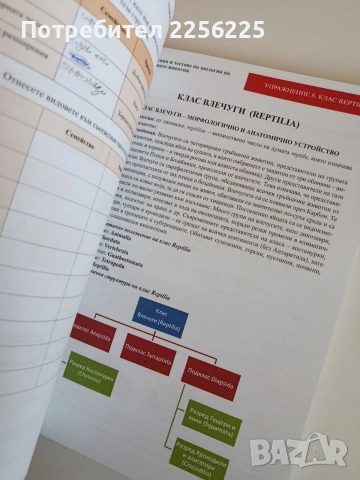 Ръководство за упражнения и тестове по зоология на гръбначните животни, снимка 4 - Специализирана литература - 53862839