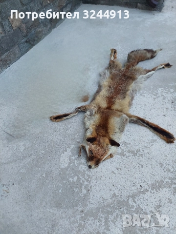 Лисича кожа 