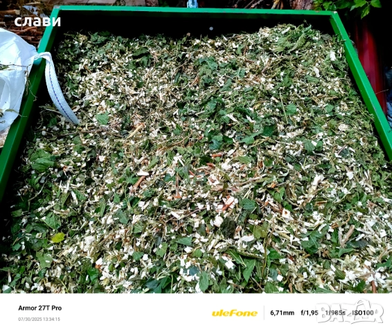 ЧЕРНИЧЕВ МУЛЧ / ДЪРВЕСЕН ЧИПС / Натурален мулч, снимка 17 - Градински цветя и растения - 51494873