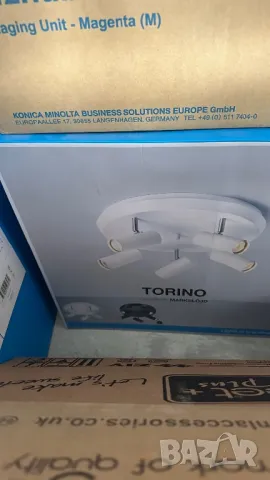 Полилей , снимка 6 - Полилеи - 49748726