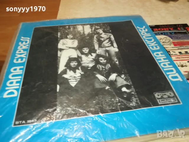 ДИАНА ЕКСПРЕС 1007251339