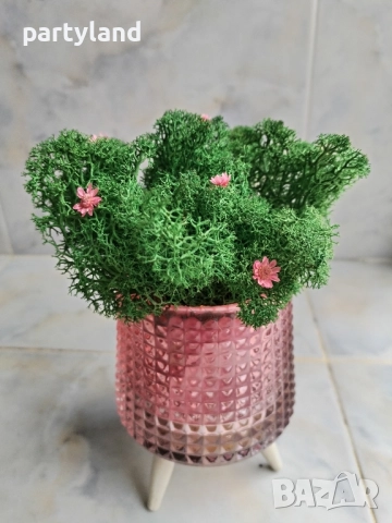 Скандинавски мъх декорация оригинален подарък, снимка 8 - Декорация за дома - 51985982