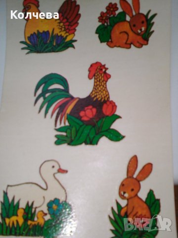 продавам лепенски за яйца, разтворими във вода, снимка 6 - Други - 40065421