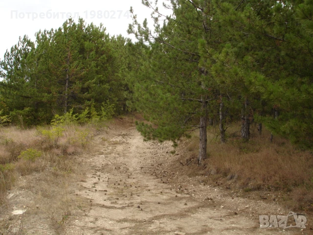 Земеделска земя 10,5 декара, 9 категория, снимка 9 - Земеделска земя - 50714759