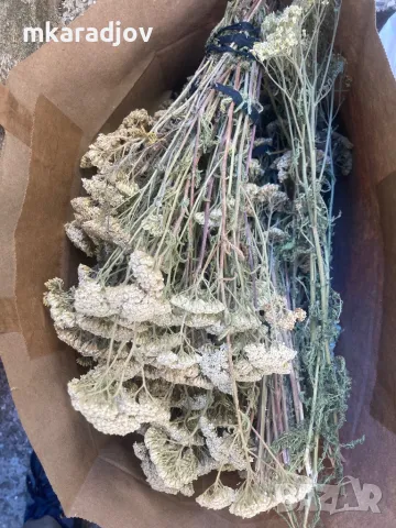 билки чай сок от бъз шипки подправки, снимка 16 - Домашни продукти - 46575710