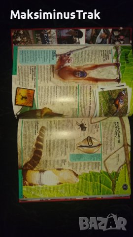 Енциклопедия Рекорди Гинес , снимка 2 - Енциклопедии, справочници - 39803502