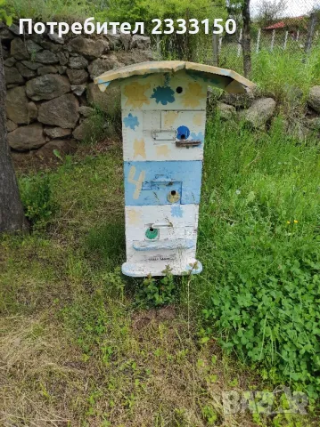 Продава пчелно семейство с млада майка от тази година семейството е добре развито ., снимка 1