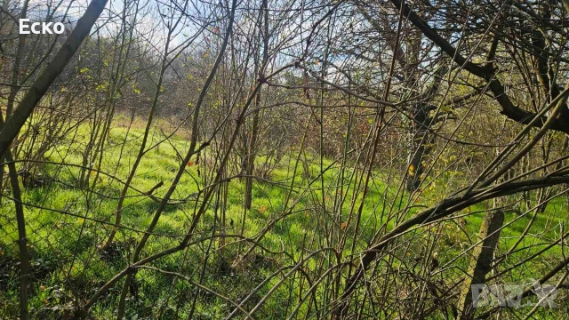 Парцел с. Одринци 2400м2, снимка 14 - Парцели - 53575856