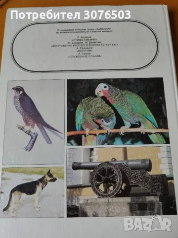 Влечугите е терариума, снимка 2 - Специализирана литература - 49689476