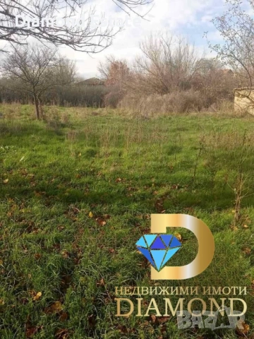 Къща в село Свирково, общ. Симеоновград, снимка 4 - Къщи - 53855317