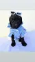 Poodle toy/Пудел Той, снимка 16