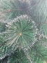Заснежена коледна елха с бели връхчета и здрава стойка, снимка 9