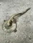 Стара дръжка за ръчна помпа за вода, снимка 1
