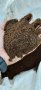 БиоТор за Разсад 100% Биотор от Калифорнийски червей, снимка 1 - Тор и почвени смеси - 40238068
