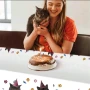 Коте котки котета найлонова покривка за парти рожден ден, снимка 3