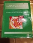 Фармакология - доц. д-р А. Белчева и проф. д-р П. Узунов , снимка 1