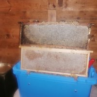 Продавам пчелен мед , снимка 7 - Пчелни продукти - 41364252