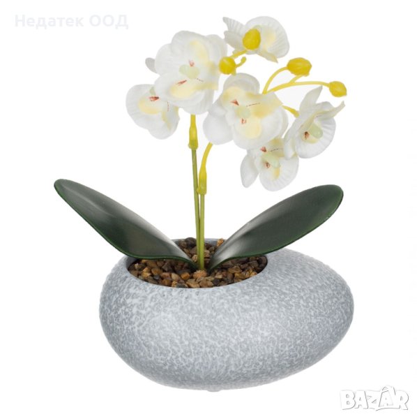 Саксия с камъчета и орхидея, 12x10x18см, снимка 1