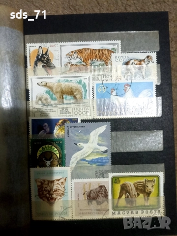 Пощенски марки около 150 броя различна тематика ,на 35 г ,отлично запазени с класьор 100 лв, снимка 2 - Нумизматика и бонистика - 51762930