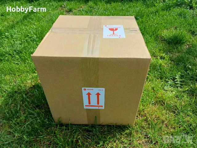 Оплодени яйца от "Черен Австралорп" / Яйца за люпене, снимка 6 - други­ - 48576142