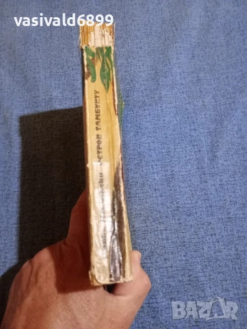 Марко Марчевски - Остров Тамбукту , снимка 2 - Българска литература - 50989924