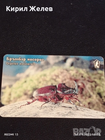 Три фонокарти тема ЖИВОТНИ БРЪМБАР НОСОРОГ,ТРЪНООПАШАТА ПОТАПНИЦА за КОЛЕКЦИОНЕРИ 50869, снимка 3 - Колекции - 51669583