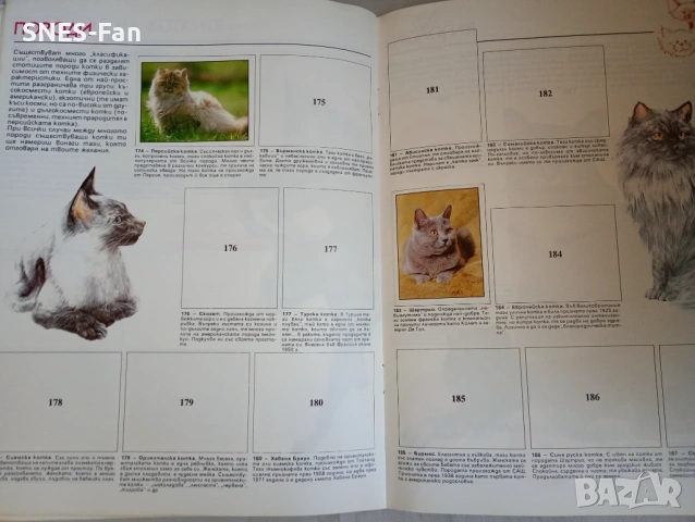 Албум Panini - Домашни животни, снимка 3 - Колекции - 53870434