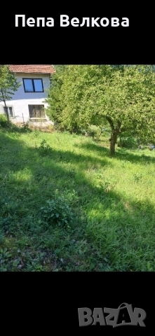 Дворно място в с.Ново Бърдо, снимка 5 - Парцели - 52254049